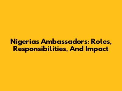 Nigeria's Ambassadors: Roles, Responsibilities, And Impact