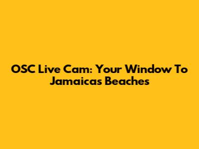OSC Live Cam: Your Window To Jamaica's Beaches