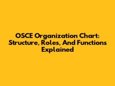 OSCE Organization Chart: Structure, Roles, And Functions Explained