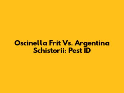 Oscinella Frit Vs. Argentina Schistorii: Pest ID