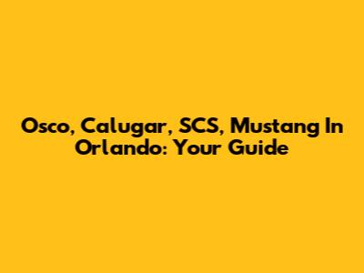 Osco, Calugar, SCS, Mustang In Orlando: Your Guide