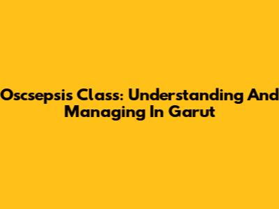 Oscsepsis Class: Understanding And Managing In Garut