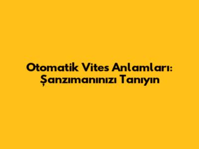 Otomatik Vites Anlamları: Şanzımanınızı Tanıyın