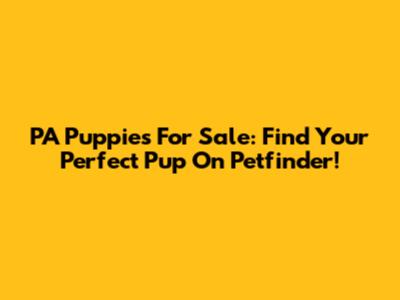 PA Puppies For Sale: Find Your Perfect Pup On Petfinder!
