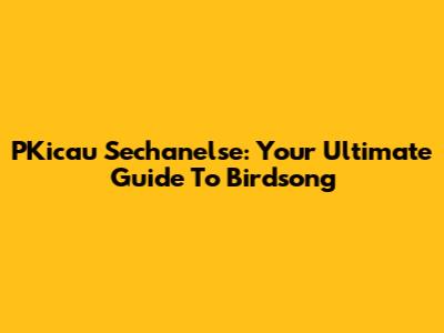 PKicau Sechanelse: Your Ultimate Guide To Birdsong