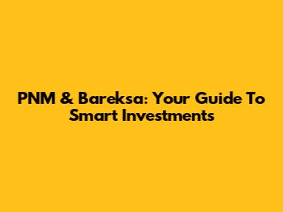 PNM & Bareksa: Your Guide To Smart Investments