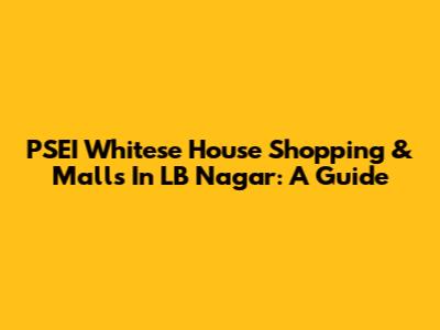 PSEI Whitese House Shopping & Malls In LB Nagar: A Guide