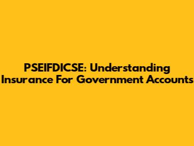 PSEIFDICSE: Understanding Insurance For Government Accounts