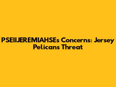 PSEIIJEREMIAHSE's Concerns: Jersey Pelicans' Threat