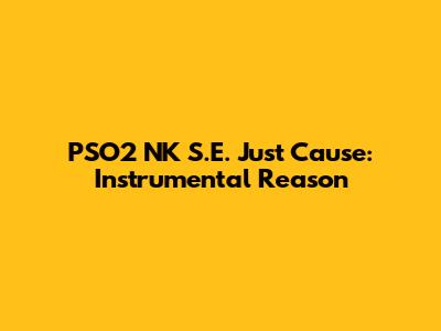 PSO2 NK S.E. Just Cause: Instrumental Reason