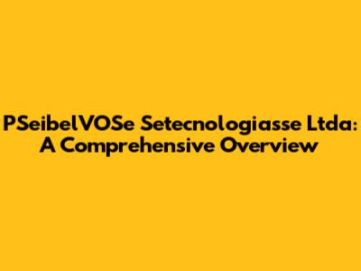 PSeibelVOSe Setecnologiasse Ltda: A Comprehensive Overview