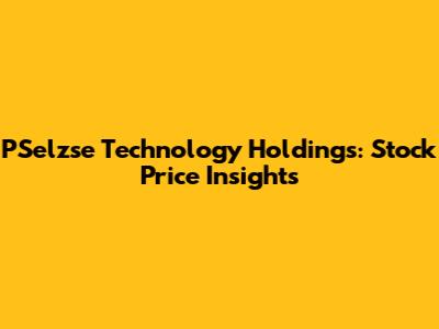 PSelzse Technology Holdings: Stock Price Insights