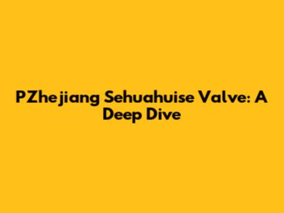 PZhejiang Sehuahuise Valve: A Deep Dive