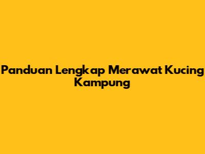 Panduan Lengkap Merawat Kucing Kampung