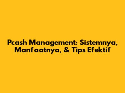 Pcash Management: Sistemnya, Manfaatnya, & Tips Efektif
