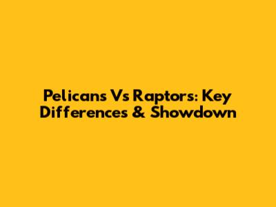 Pelicans Vs Raptors: Key Differences & Showdown