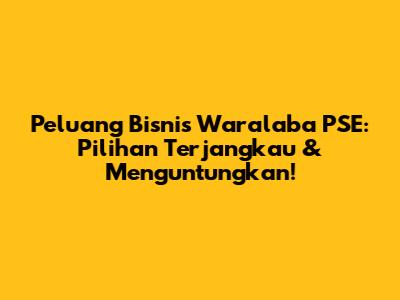 Peluang Bisnis Waralaba PSE: Pilihan Terjangkau & Menguntungkan!