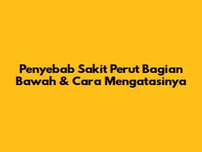 Penyebab Sakit Perut Bagian Bawah & Cara Mengatasinya