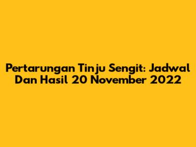 Pertarungan Tinju Sengit: Jadwal Dan Hasil 20 November 2022