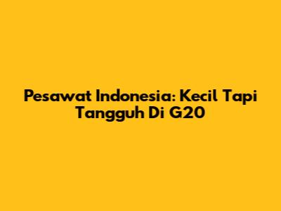 Pesawat Indonesia: Kecil Tapi Tangguh Di G20