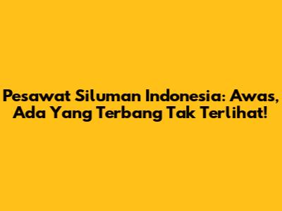 Pesawat Siluman Indonesia: Awas, Ada Yang Terbang Tak Terlihat!
