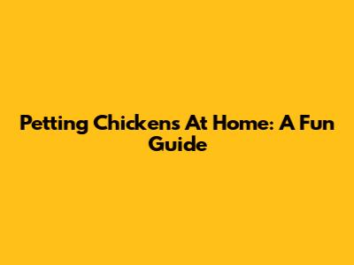 Petting Chickens At Home: A Fun Guide