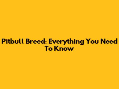 Pitbull Breed: Everything You Need To Know