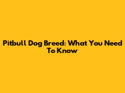 Pitbull Dog Breed: What You Need To Know