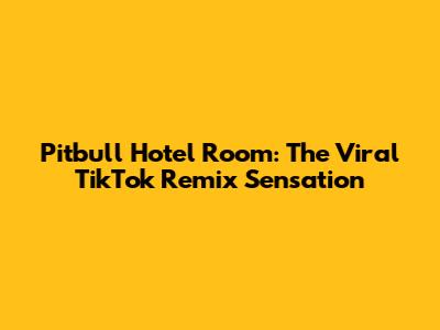 Pitbull Hotel Room: The Viral TikTok Remix Sensation