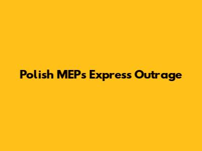 Polish MEPs Express Outrage