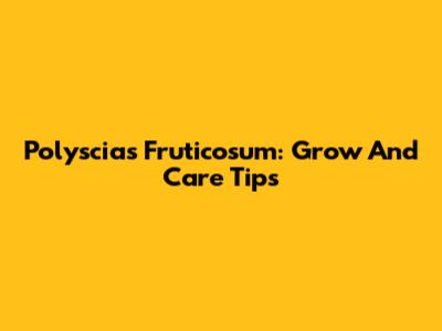 Polyscias Fruticosum: Grow And Care Tips