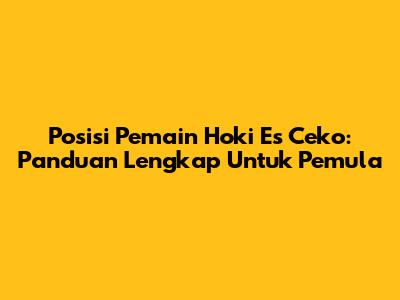 Posisi Pemain Hoki Es Ceko: Panduan Lengkap Untuk Pemula