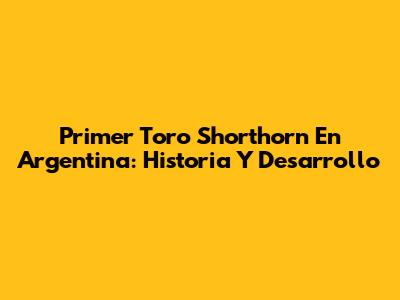 Primer Toro Shorthorn En Argentina: Historia Y Desarrollo