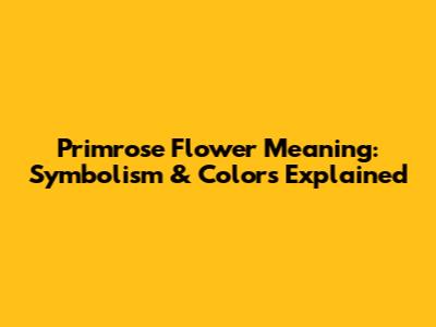 Primrose Flower Meaning: Symbolism & Colors Explained