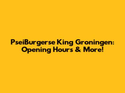 PseiBurgerse King Groningen: Opening Hours & More!