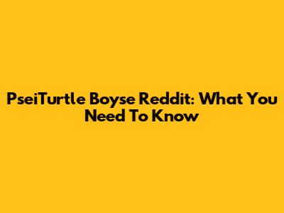 PseiTurtle Boyse Reddit: What You Need To Know