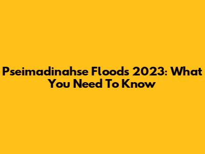 Pseimadinahse Floods 2023: What You Need To Know