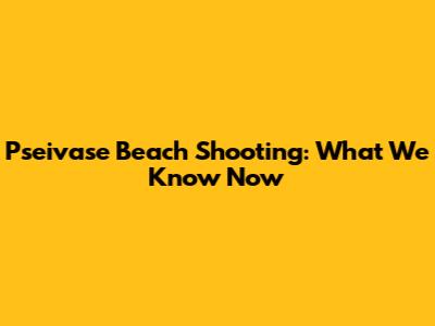Pseivase Beach Shooting: What We Know Now