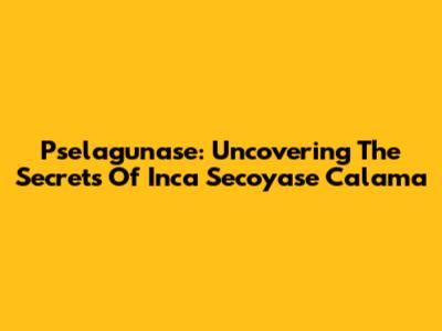 Pselagunase: Uncovering The Secrets Of Inca Secoyase Calama
