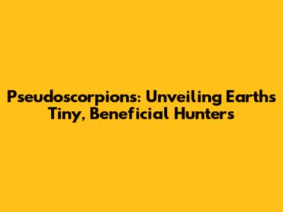 Pseudoscorpions: Unveiling Earth's Tiny, Beneficial Hunters