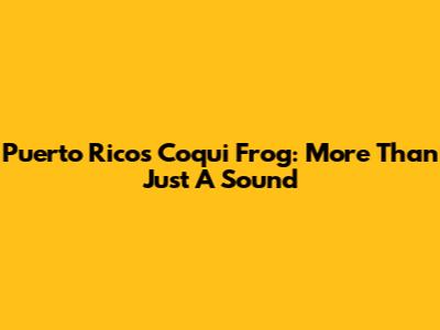 Puerto Rico's Coqui Frog: More Than Just A Sound