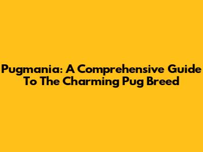 Pugmania: A Comprehensive Guide To The Charming Pug Breed