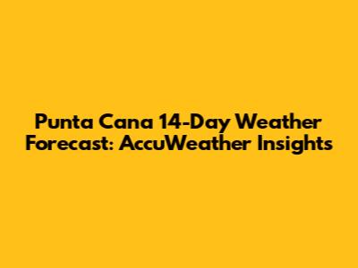 Punta Cana 14-Day Weather Forecast: AccuWeather Insights