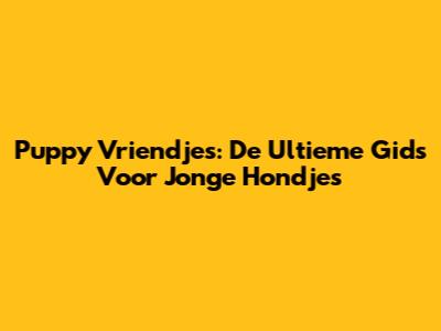 Puppy Vriendjes: De Ultieme Gids Voor Jonge Hondjes