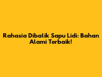 Rahasia Dibalik Sapu Lidi: Bahan Alami Terbaik!