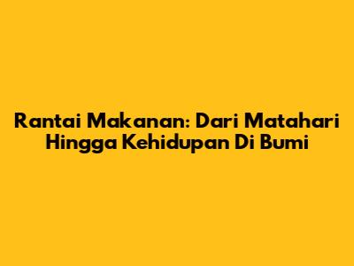 Rantai Makanan: Dari Matahari Hingga Kehidupan Di Bumi