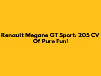 Renault Megane GT Sport: 205 CV Of Pure Fun!