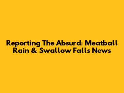 Reporting The Absurd: Meatball Rain & Swallow Falls News
