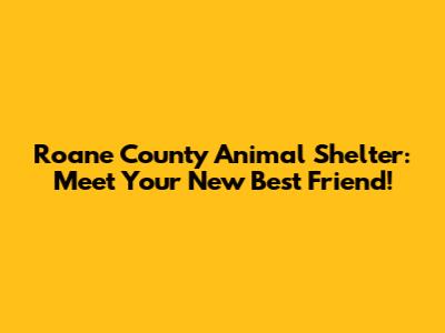 Roane County Animal Shelter: Meet Your New Best Friend!