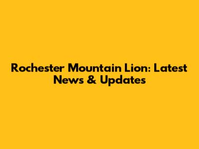 Rochester Mountain Lion: Latest News & Updates